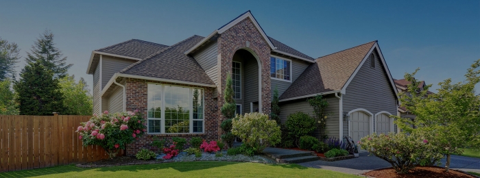 How to Treat Termites More Effectively? Save Time & Money