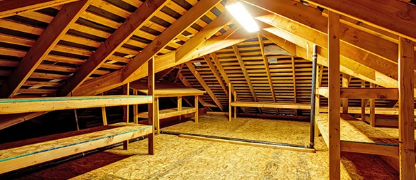 Noises in the Attic?